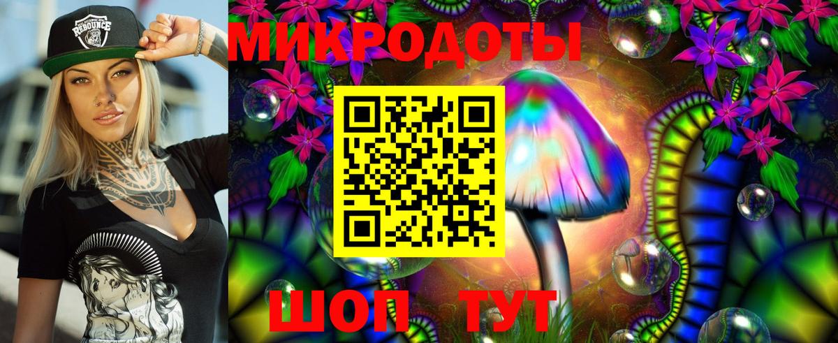 Галлюциногенные грибы Psilocybe Жигулёвск