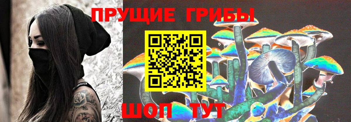 Жигулёвск  Галлюциногенные грибы Psilocybe  Псилоцибиновые грибы Psilocybine cubensis  Вход с VPN 